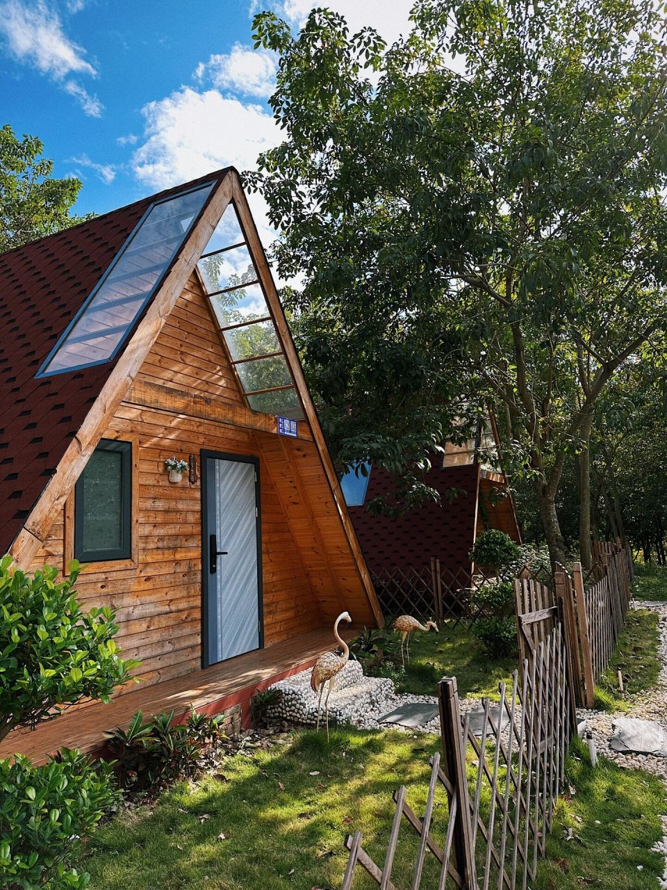 汕尾陆丰周末出行~大安农场99 一路上有很多橡胶树 民宿也有很多很