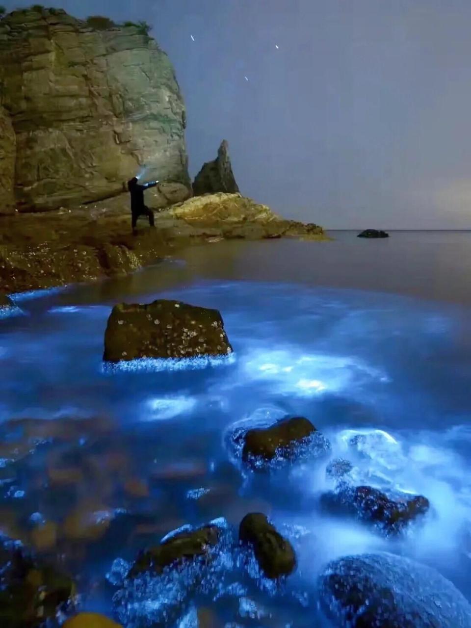 2024年来平潭岛邂逅神秘的"蓝眼泪91.