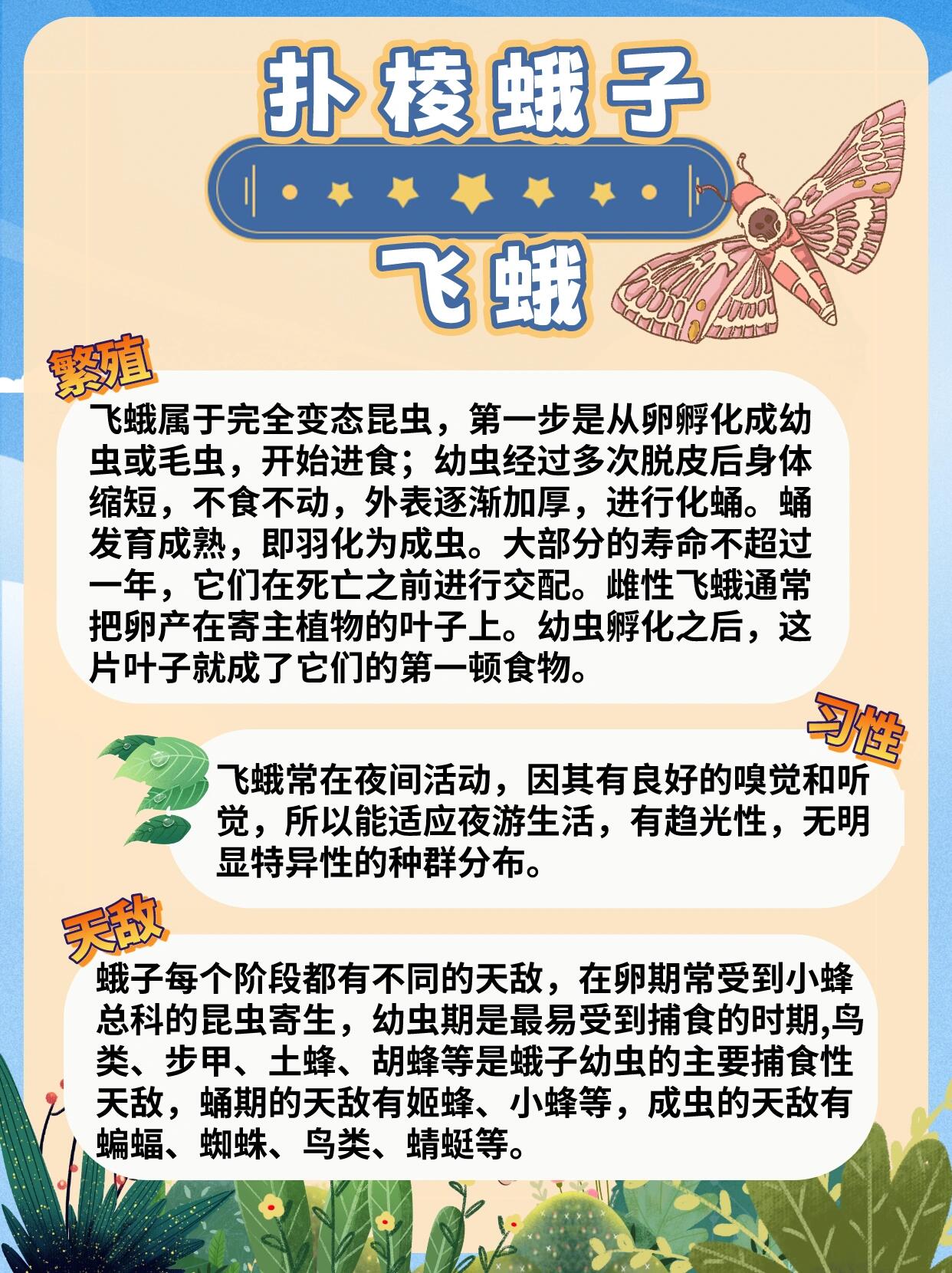 扑棱蛾子折法图片