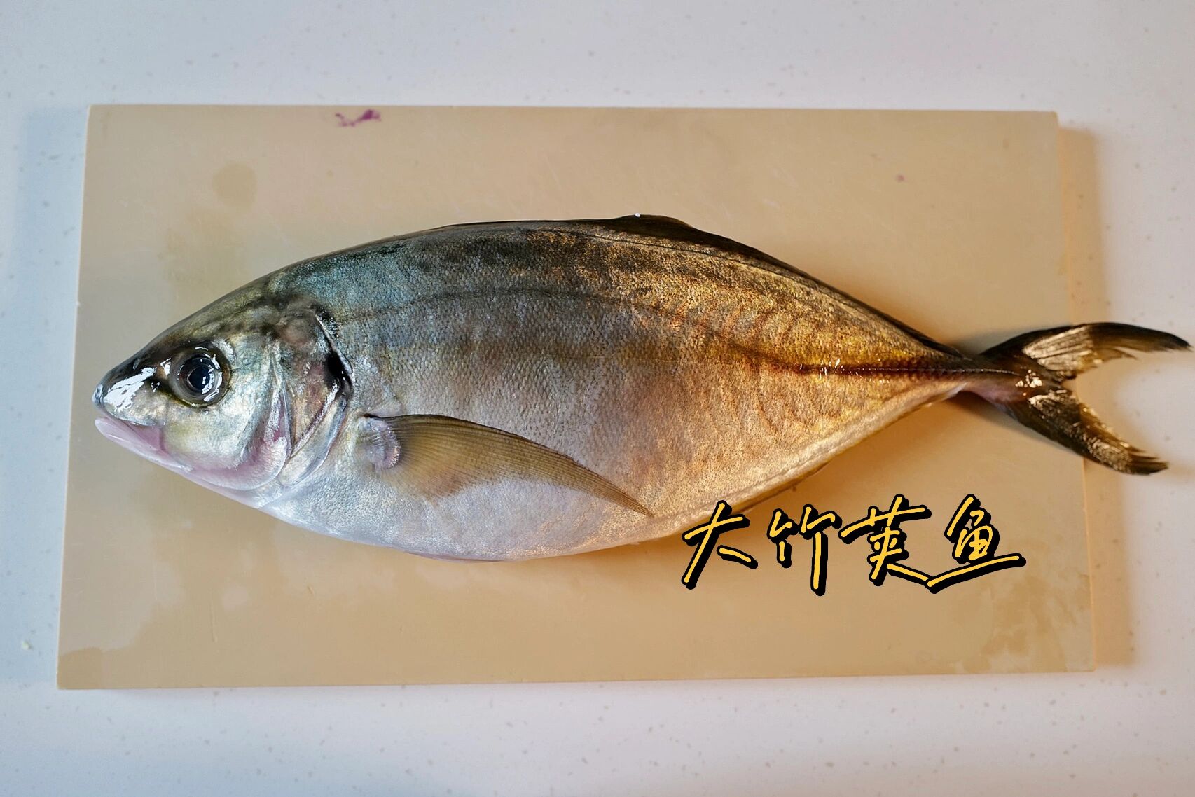 原来不是竹荚鱼 只是长得像