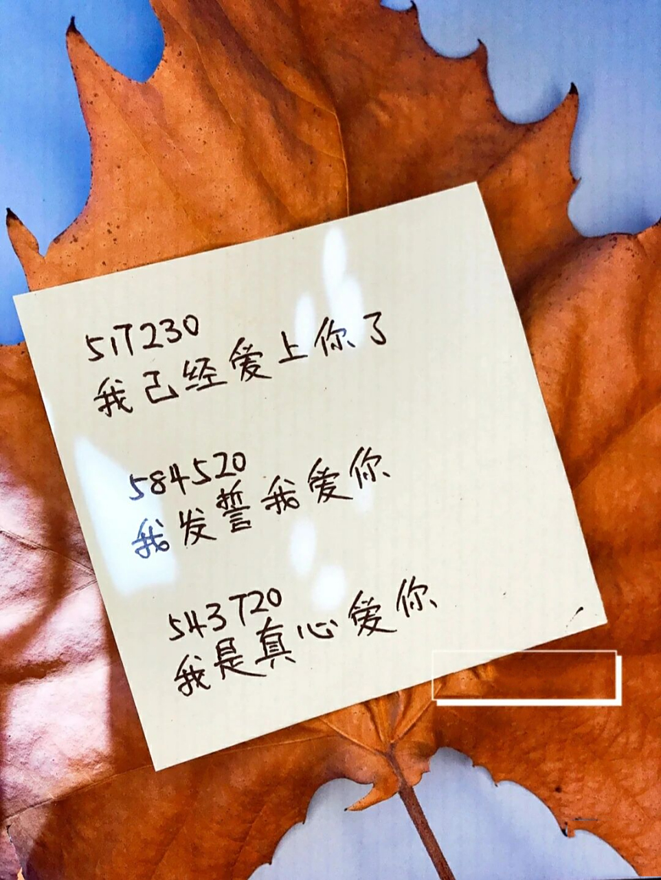 爱情数字密码 表白公式78