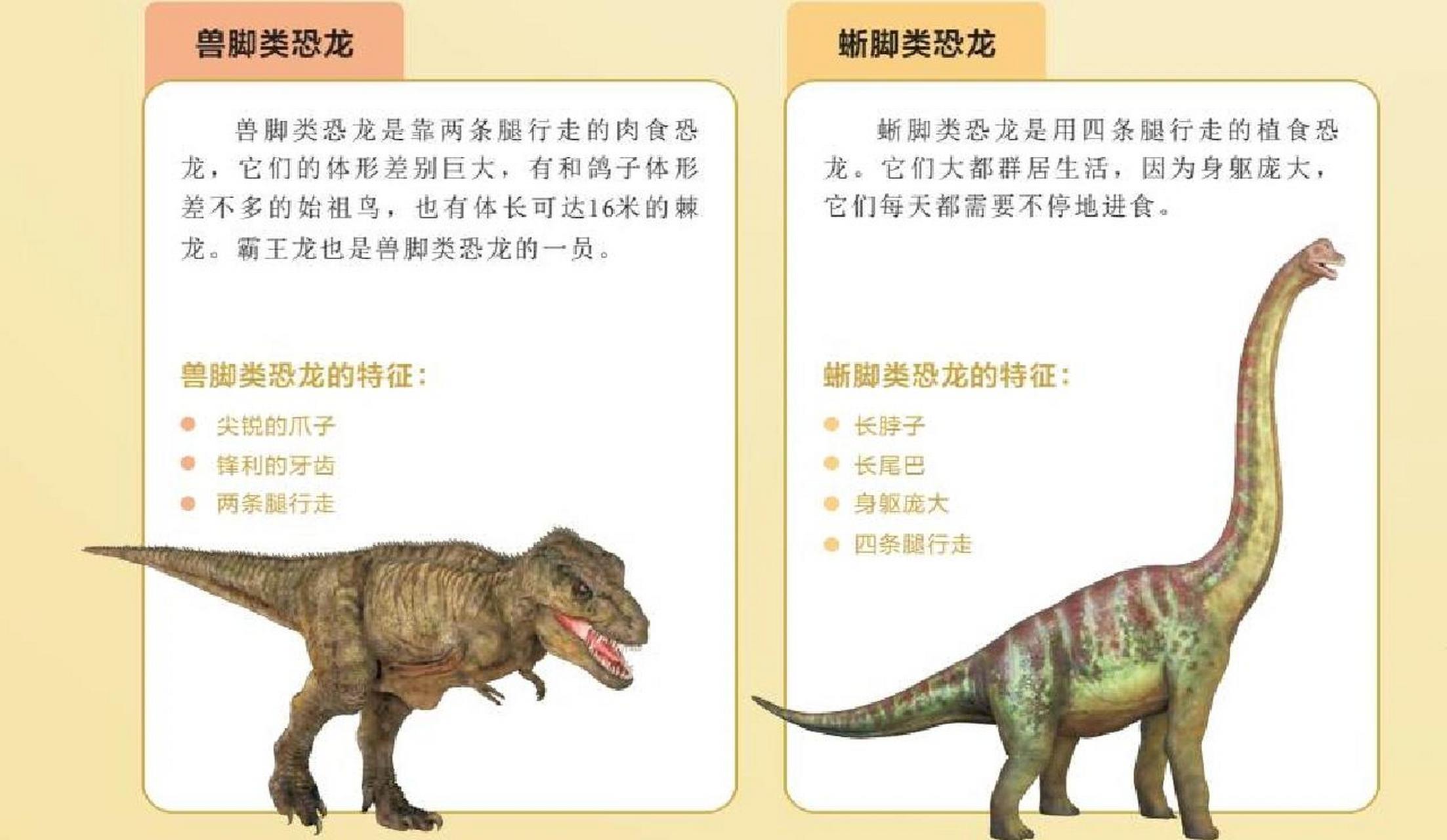 03恐龙的分类  恐龙根据骨盆结构的特征可以分为两大类