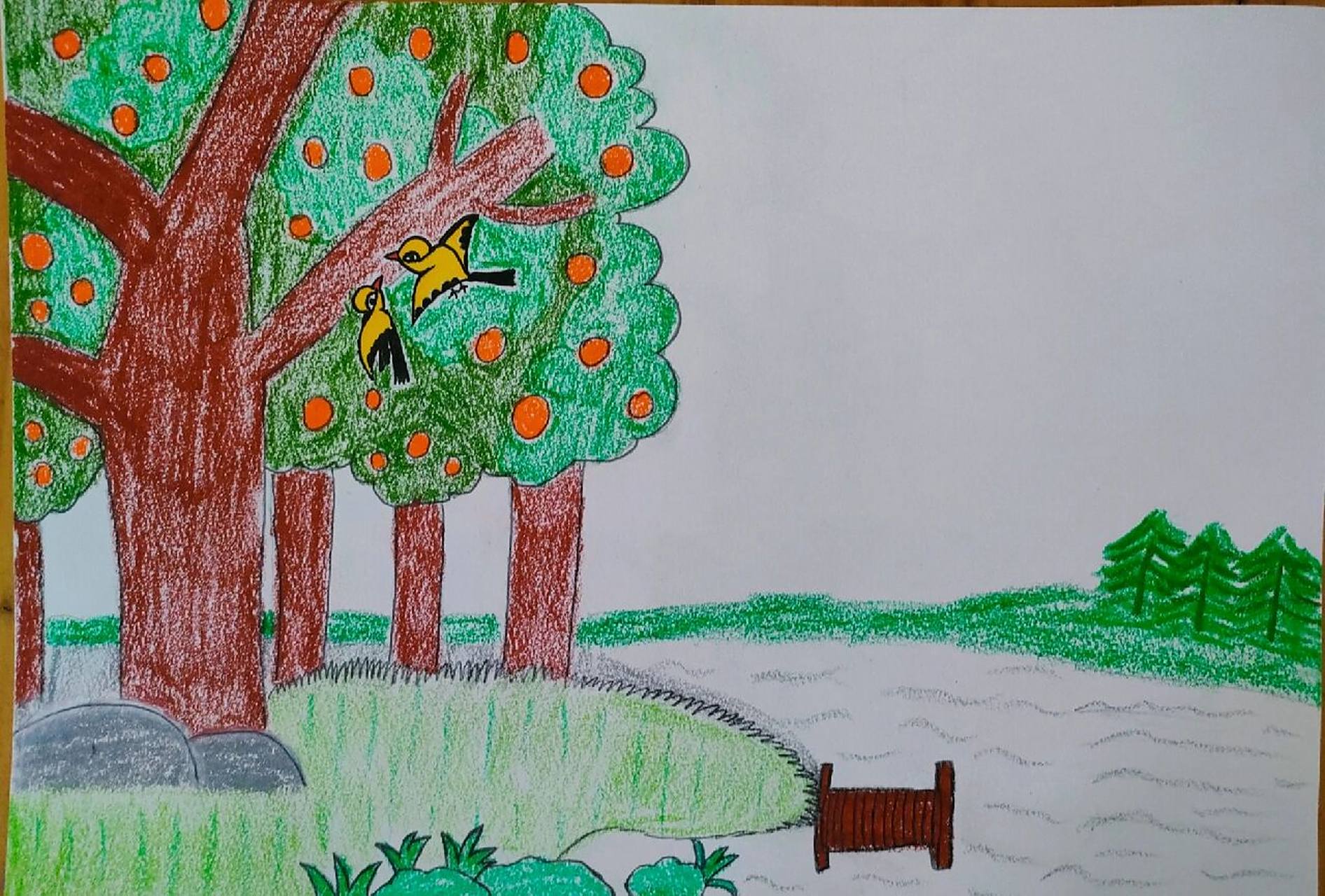 简单好画的古诗配图《三衢道中》