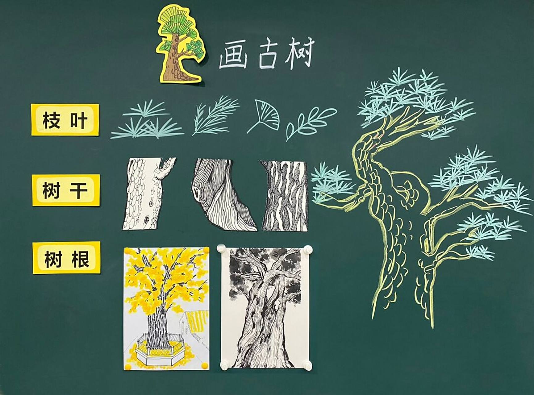 美术课板书 | 画古树 美术课板书分享 课程92:人民美术出版社三年级