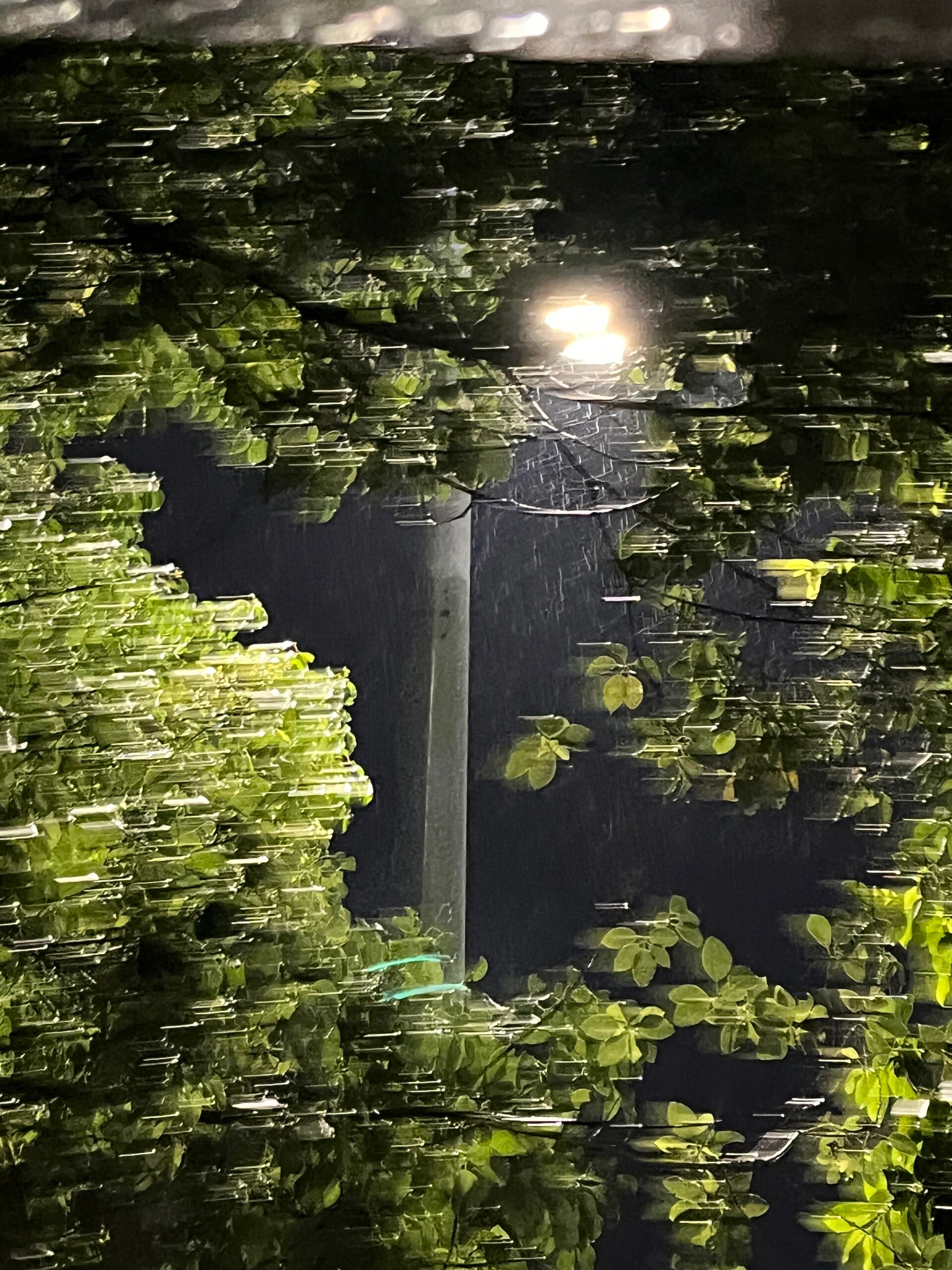 下雨真实照片图片