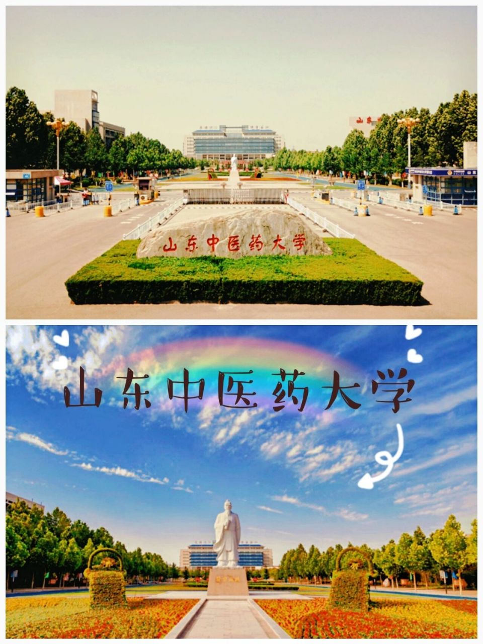 山东中医药大学979797 999999山东中医药大学9999