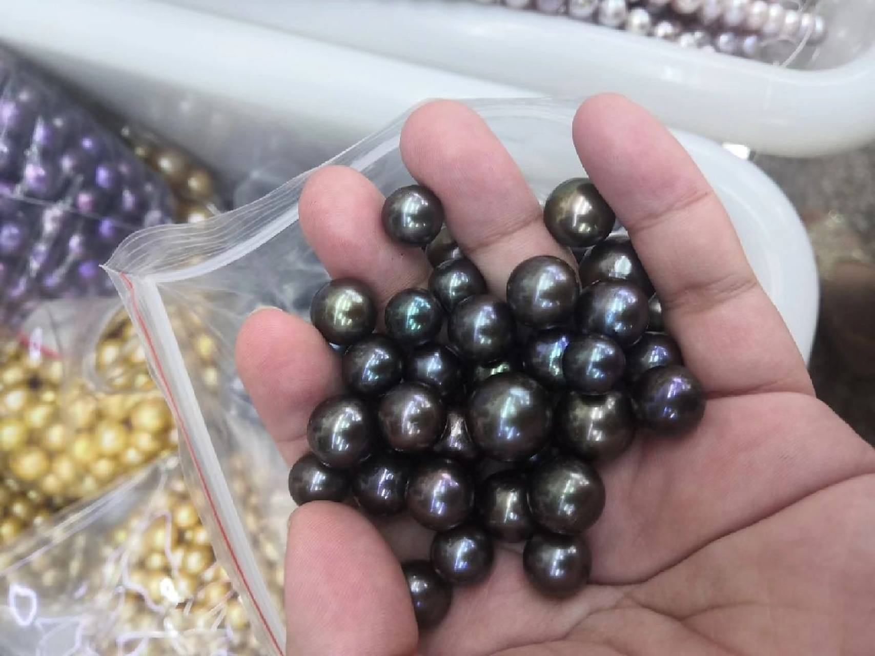 真假大溪地黑珍珠的简单鉴别方法 图1-4是我们家自营的天然海水珍珠