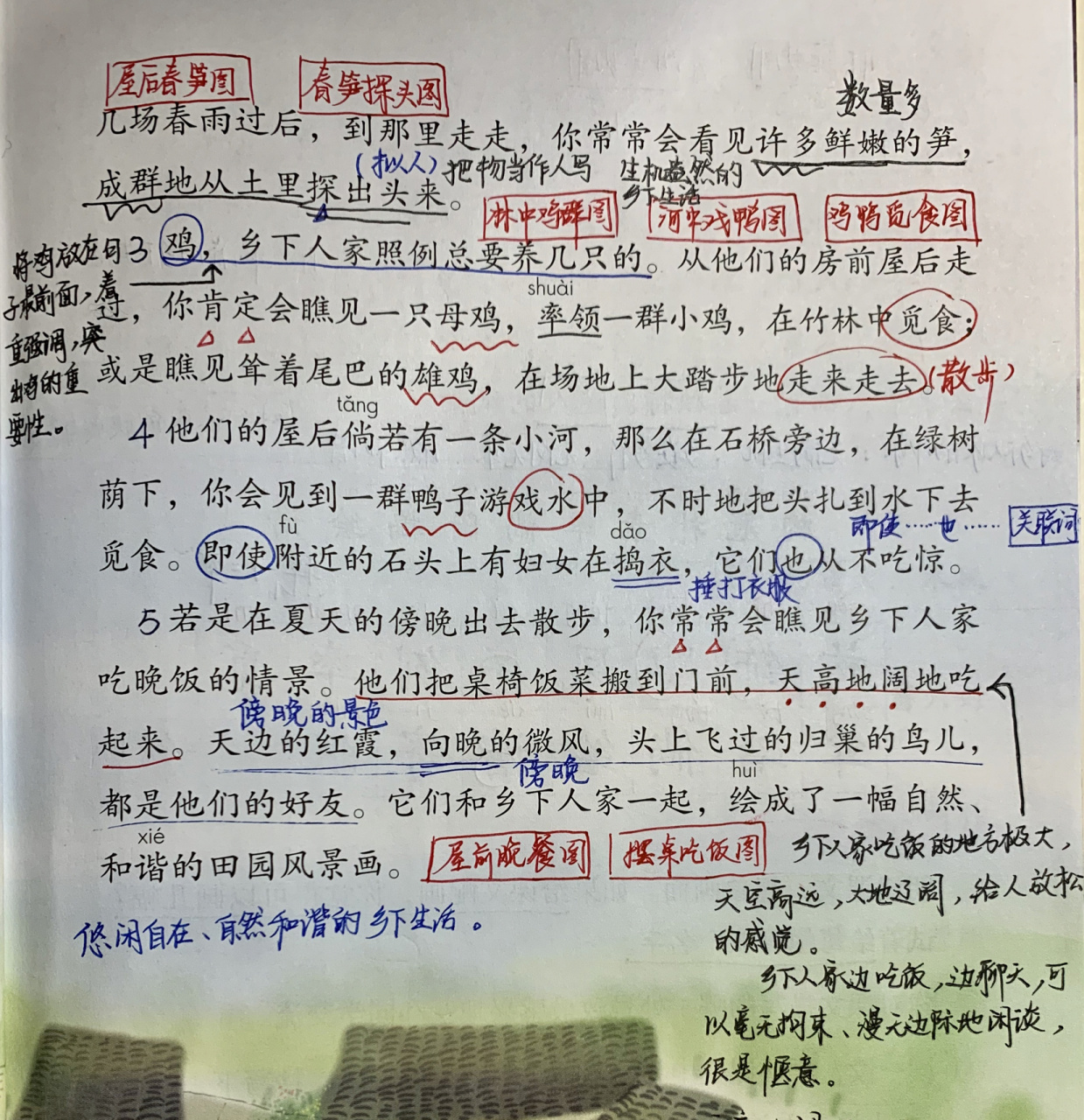 部编版四年级下册语文 第二课乡下人家 笔记 第一单元 第二课 《乡下