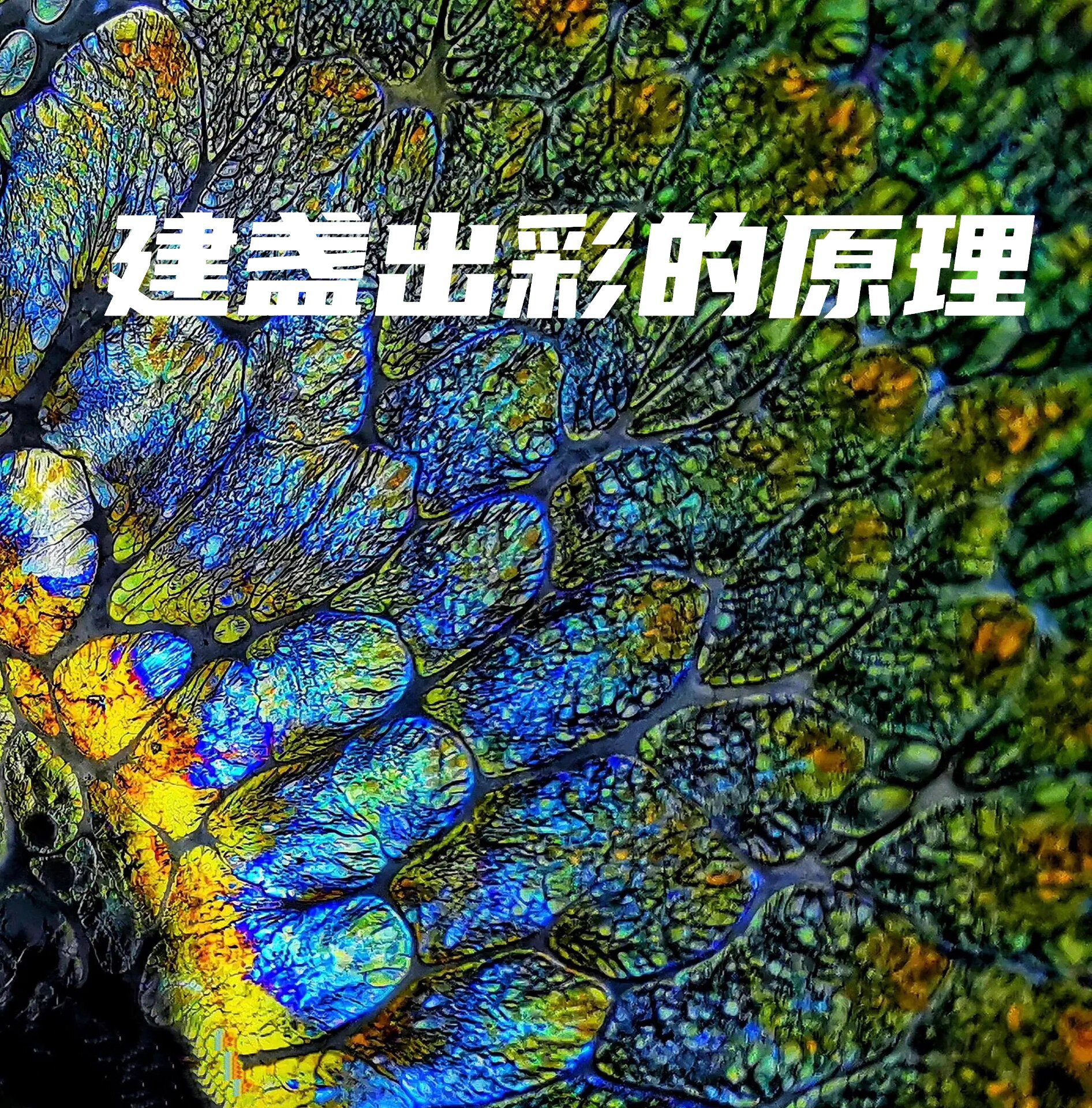 建盏出彩的原理  建盏在1200-1300度的高温下产生,天生就具有与众不同