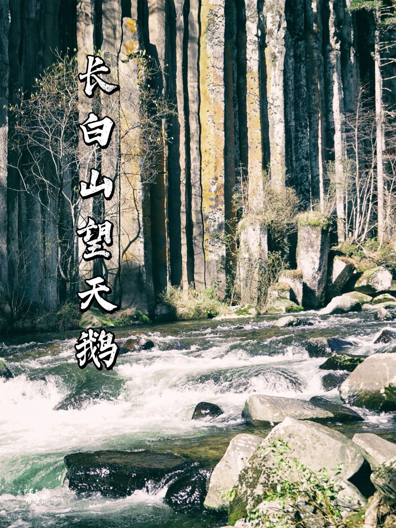 长白山望天鹅景区|神奇的火山喷发遗迹 🗻【望天鹅】是我见过最神奇