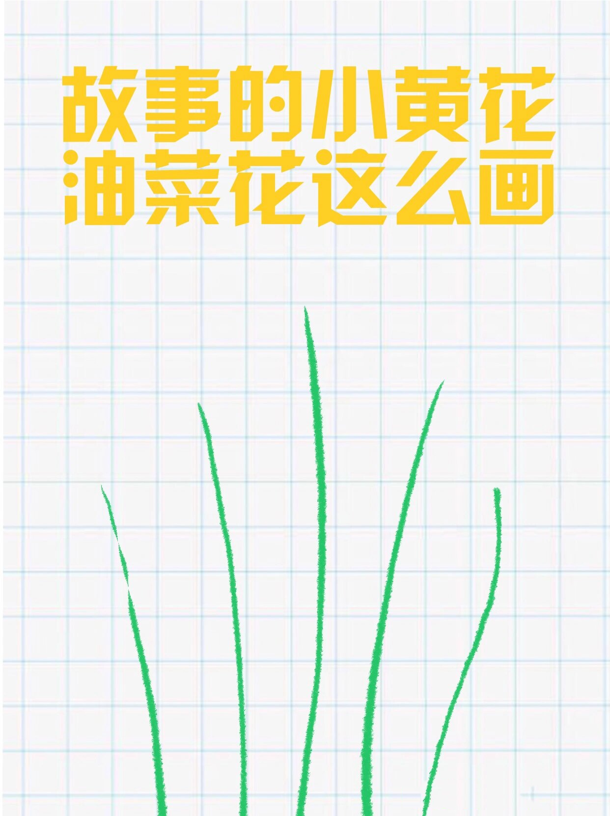 油菜花简笔画