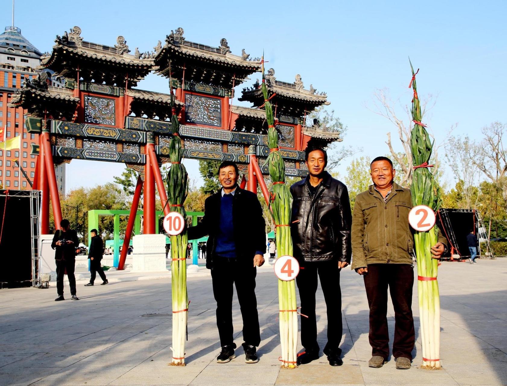 章丘大葱最高图片图片