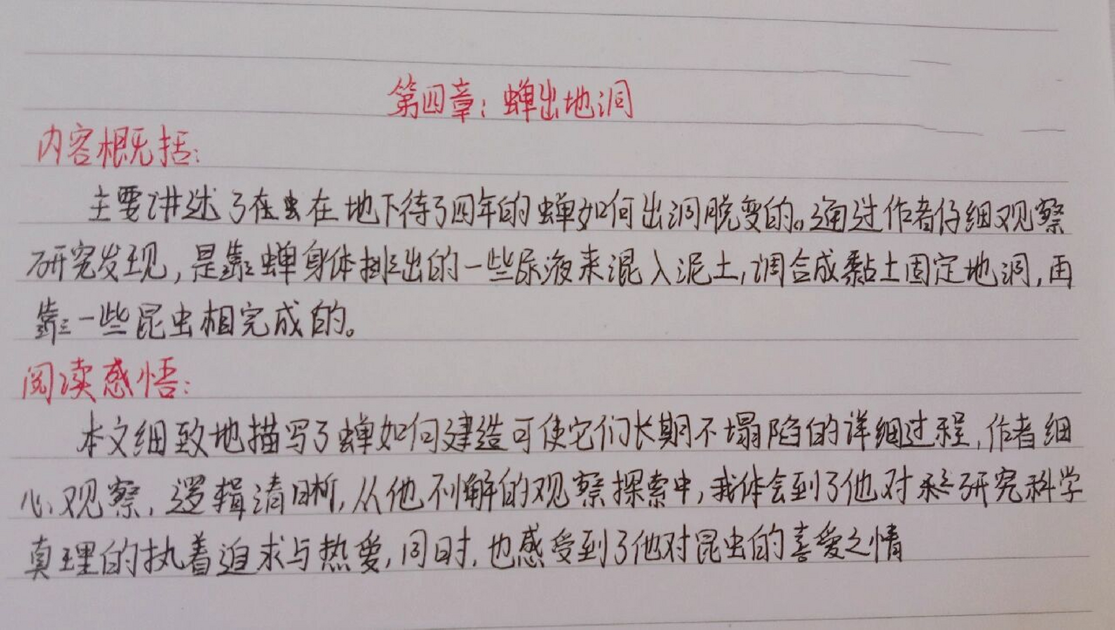 《昆虫记》第四章蝉出地洞 内容梗概 读后感悟