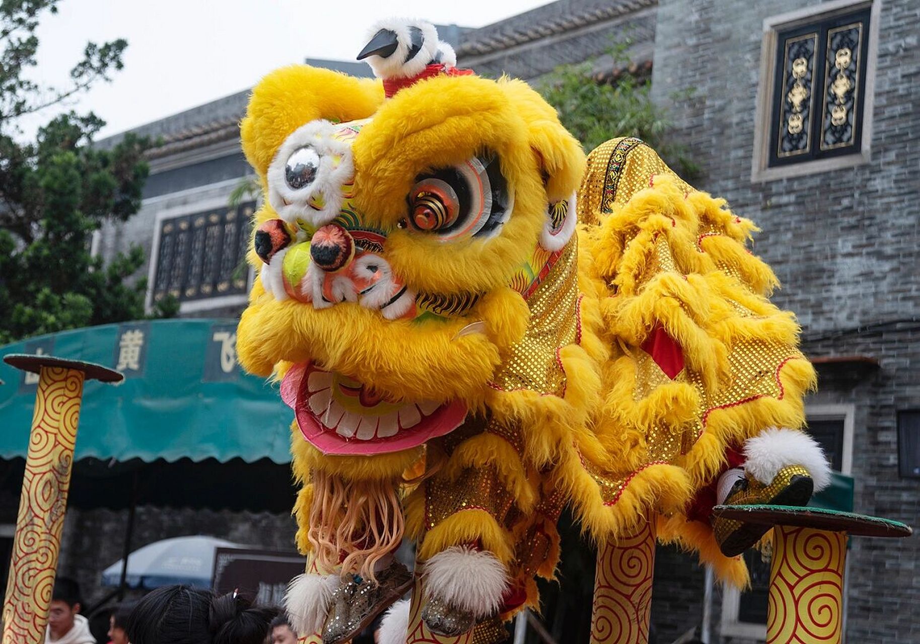 广府民俗|广东醒狮之舞狮技艺简识 78舞狮技艺大致上分为三部分