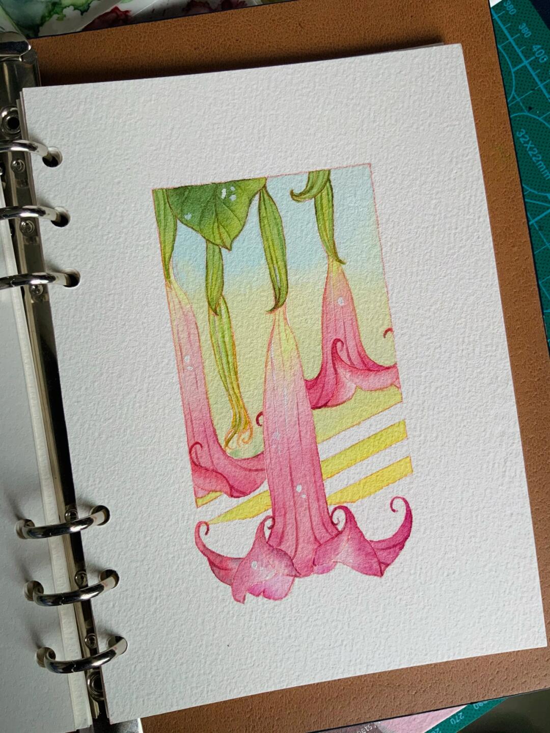 零基础水彩花卉入门 曼陀罗