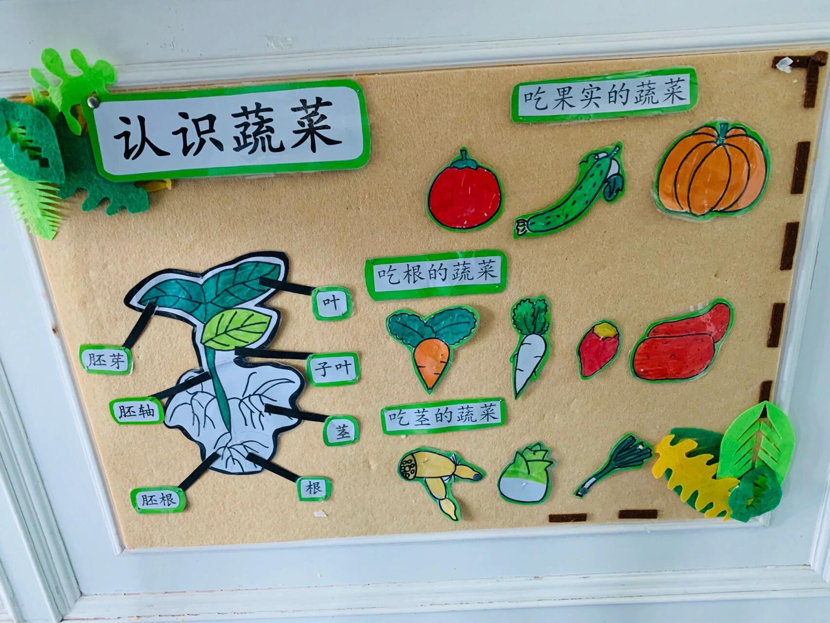 《蔬菜王国》中班主题墙