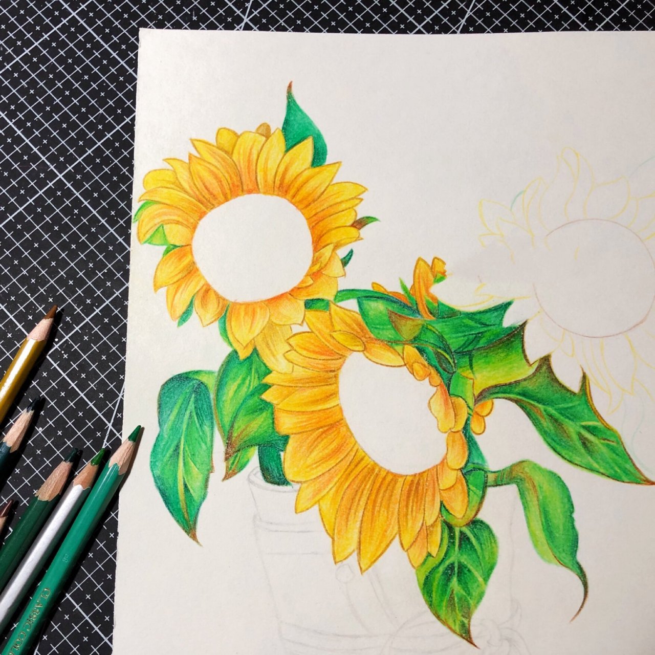 彩铅画 手绘|向阳之花97向日葵