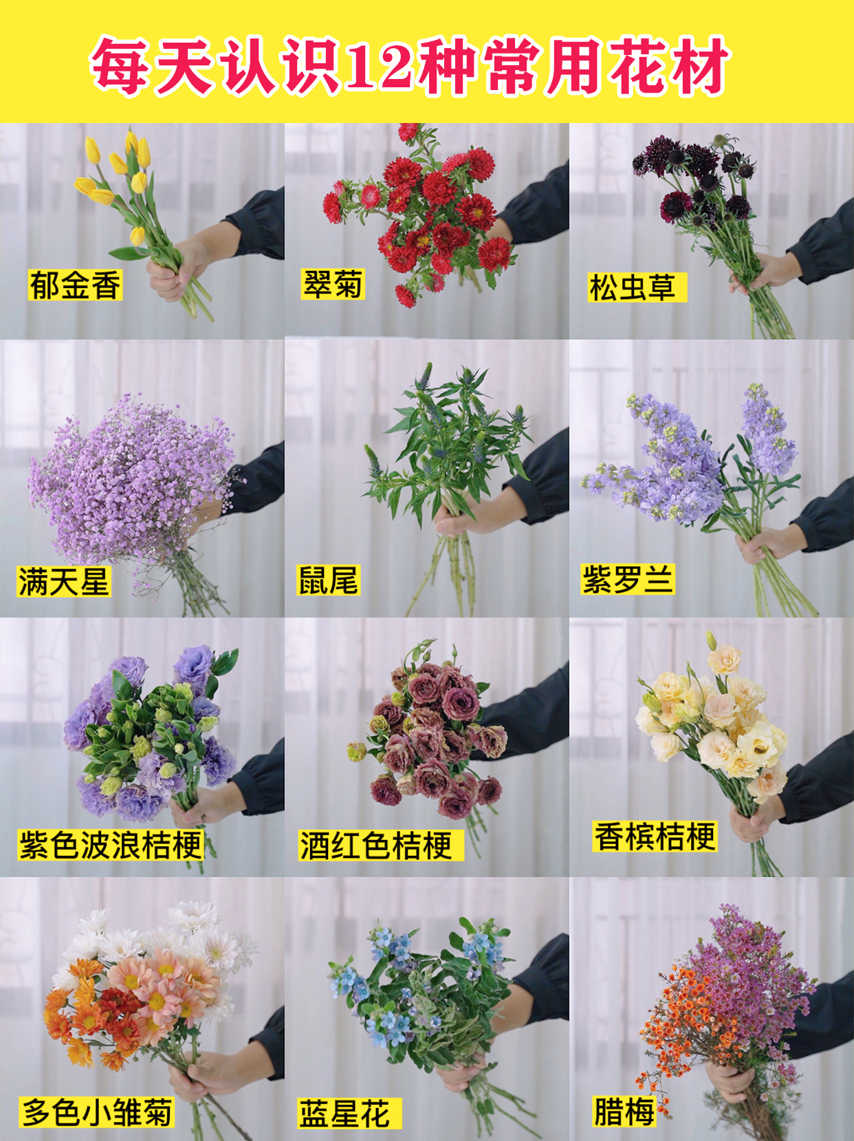 常见插花花材130种图片