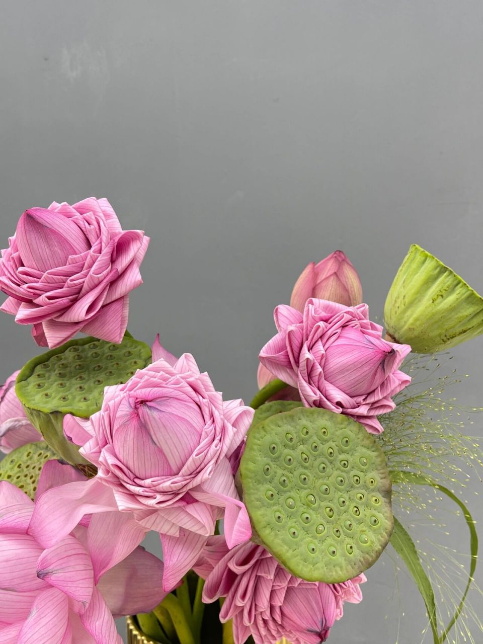 荷花花束|夏天来自大自然的馈赠 荷花花语:清白 纯洁 坚贞 信仰 忠贞