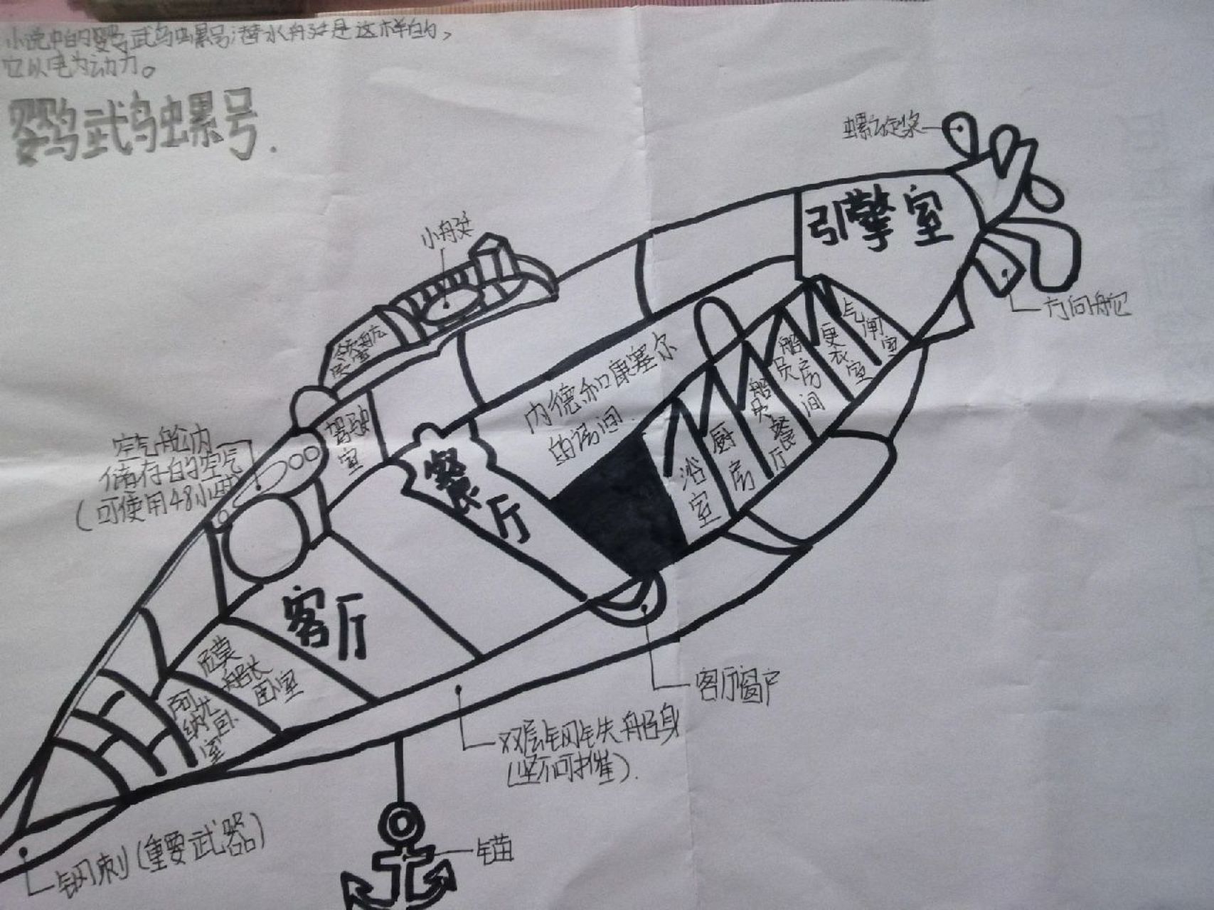 鹦鹉螺号图片 解剖图图片