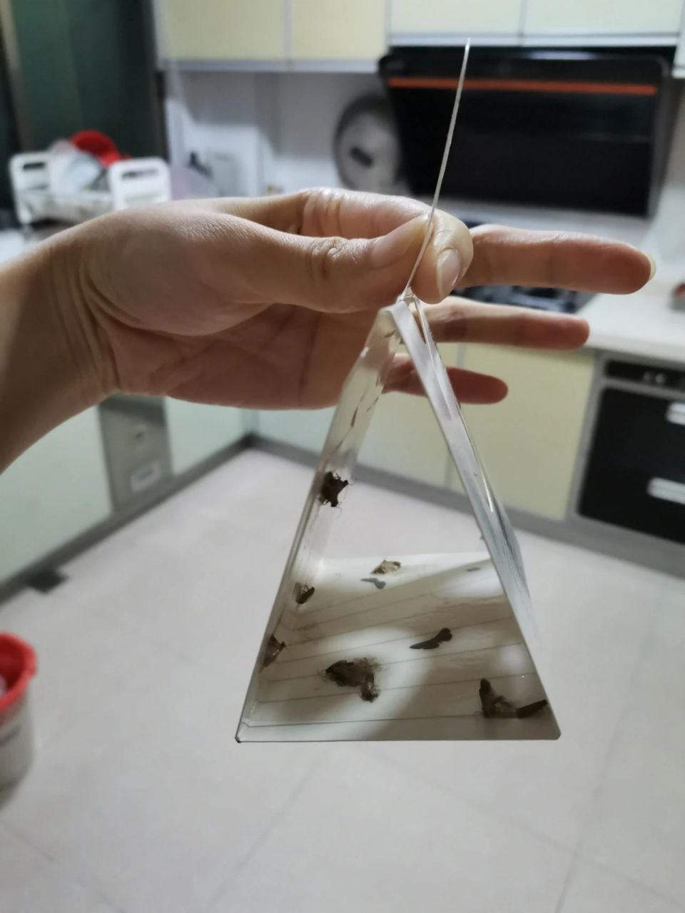 上搜搜才知道这叫米蛾,说是家里的米或者面有虫才会有的.