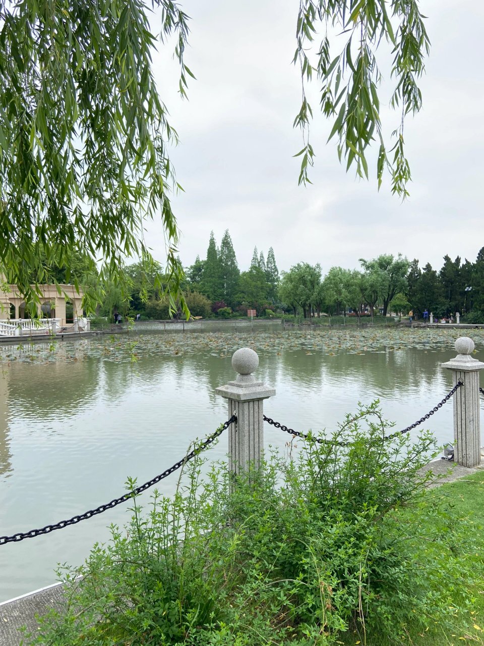 真心喜欢这个公园 | 松江思贤公园 去松江和朋友吃饭,吃完饭相约一起