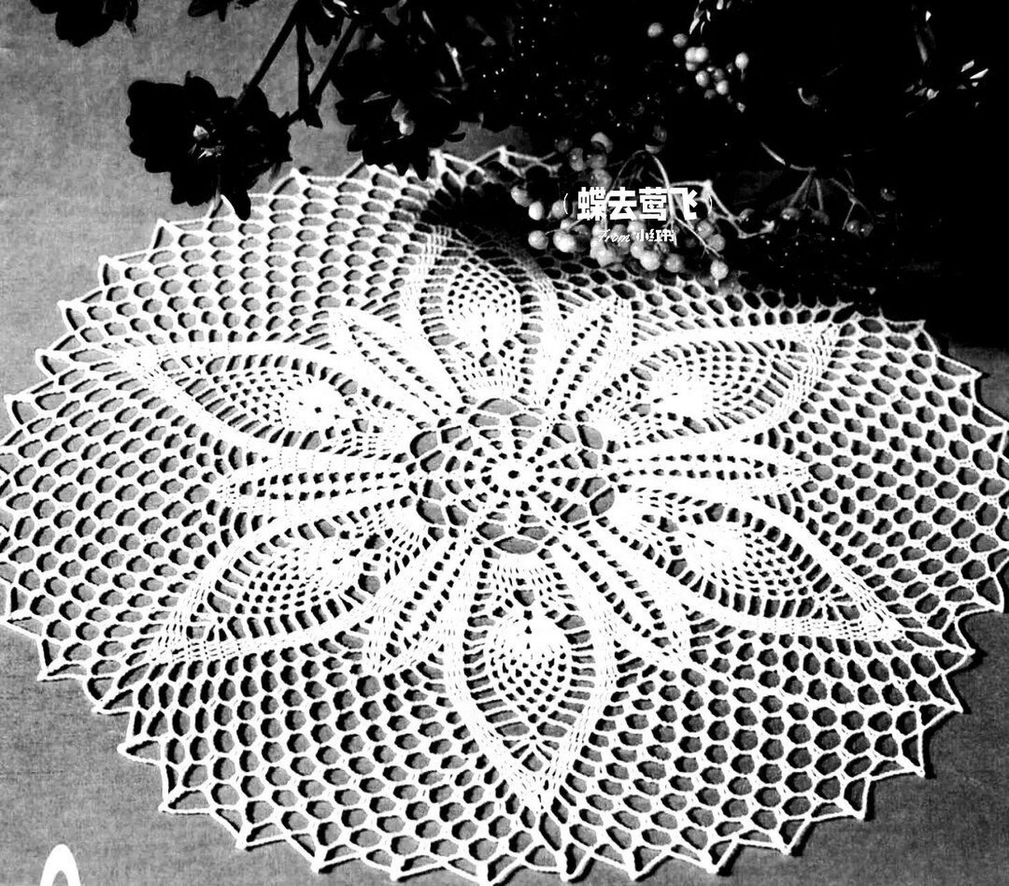 【图解】钩针手工编织 蕾丝餐巾桌布花片图案 #编织# #手工编织