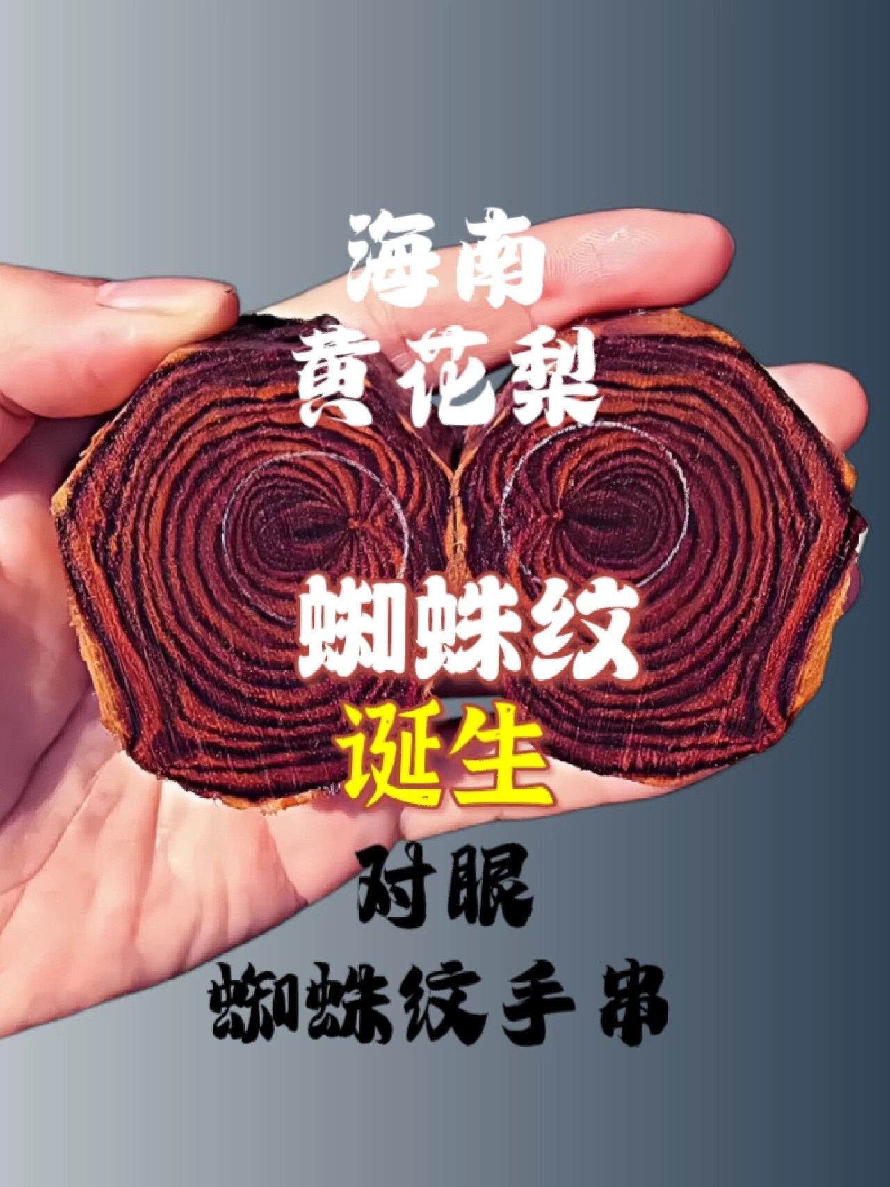 海南黄花梨蜘蛛纹手串