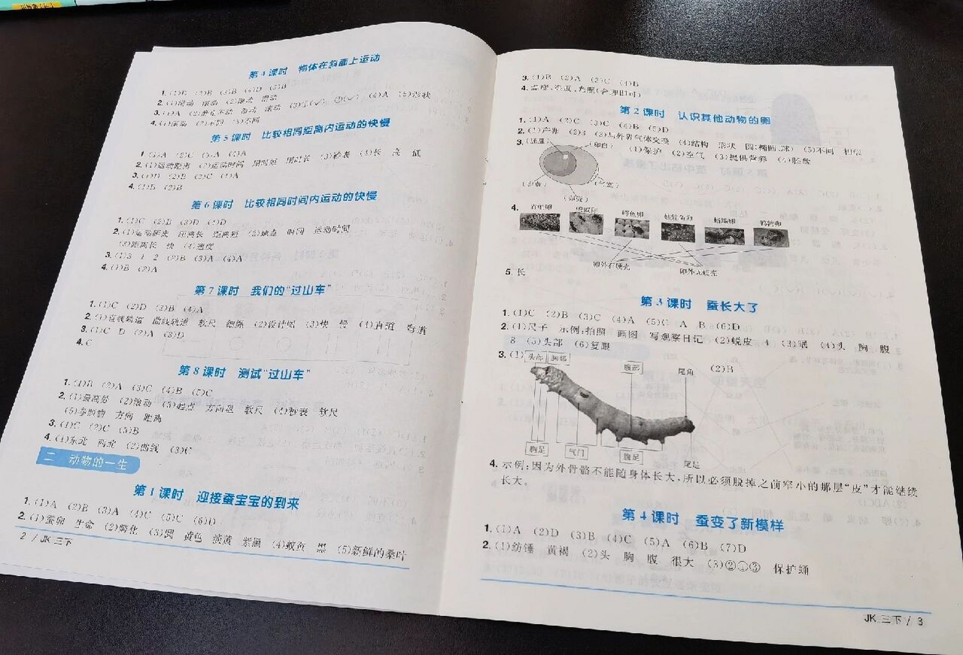 阳光同学答案下册图片