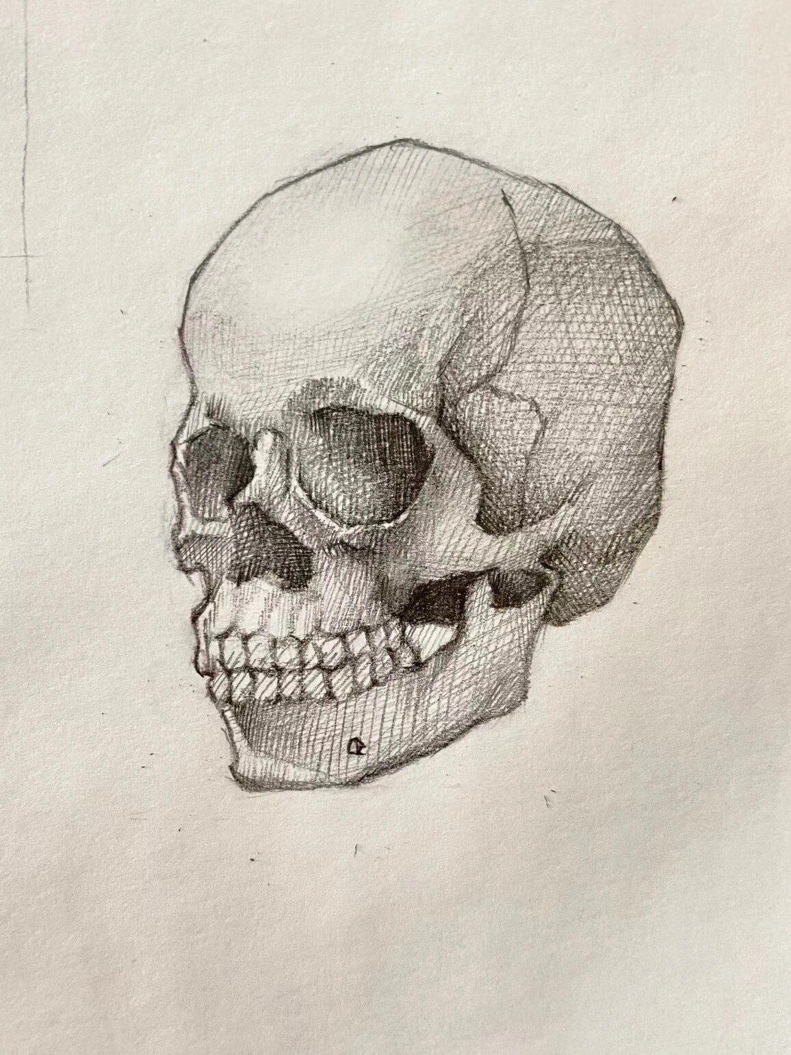 自动笔素描 骷髅头