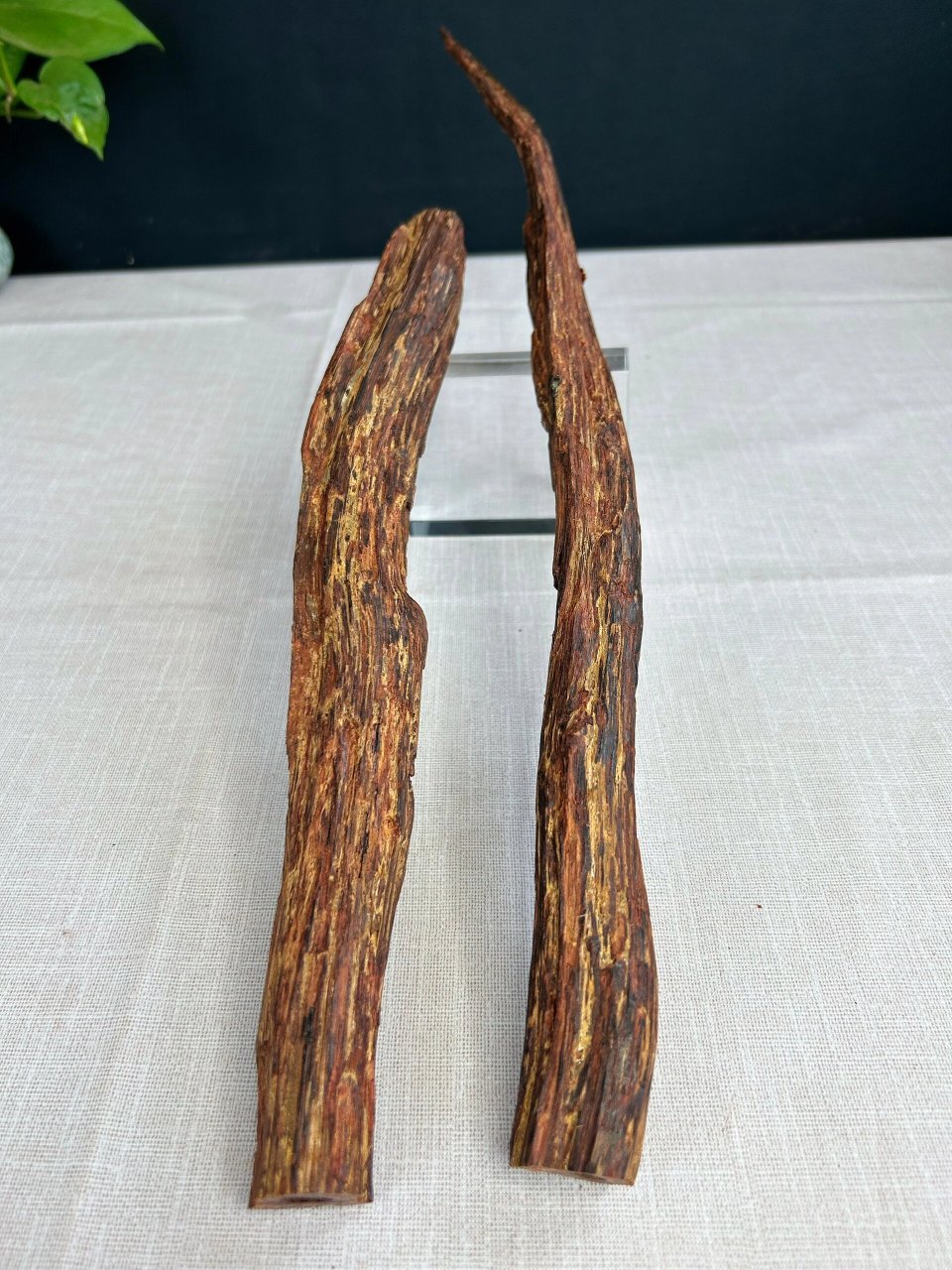 海南降真香 海南降真香大叶原料带黄药膜层,花香甜凉韵,非常不错的降