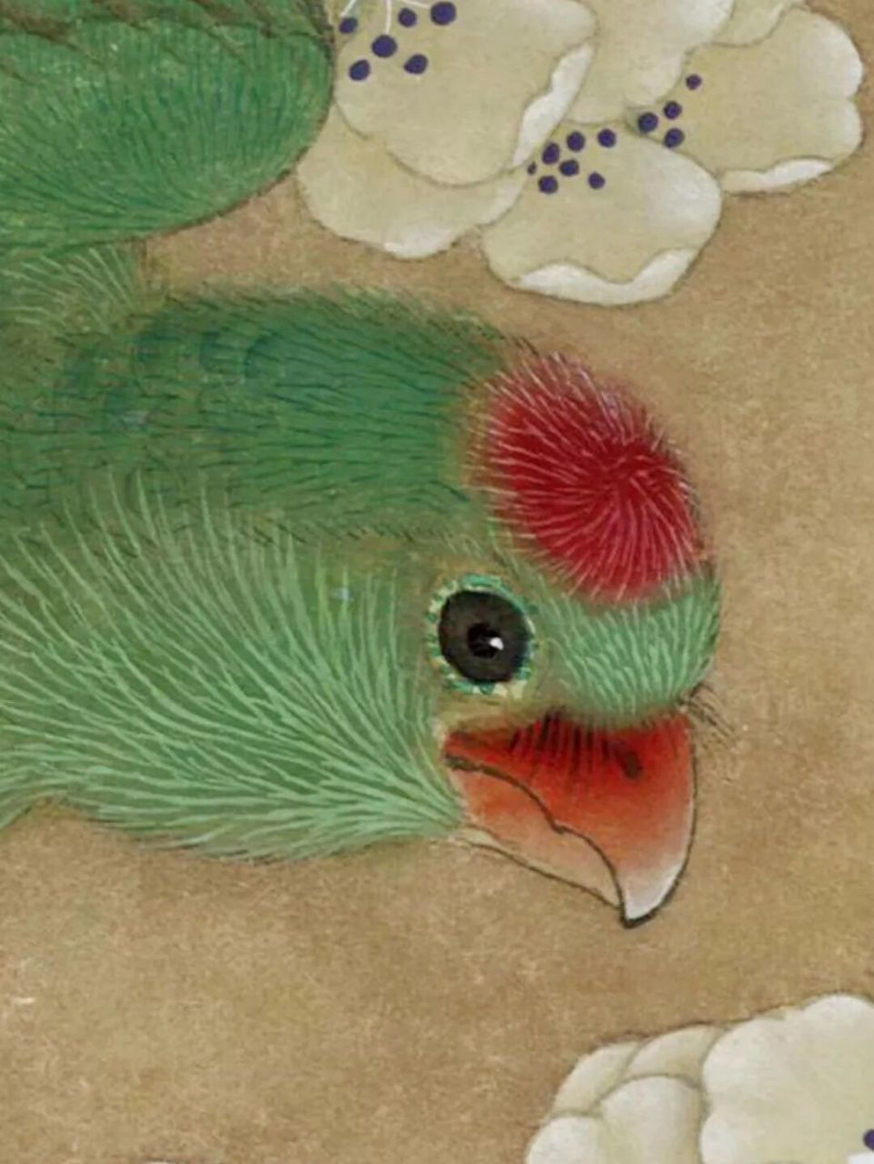 工笔画步骤分享《临宋人梨花鹦鹉图》 李晓明《临宋人梨花鹦鹉图》