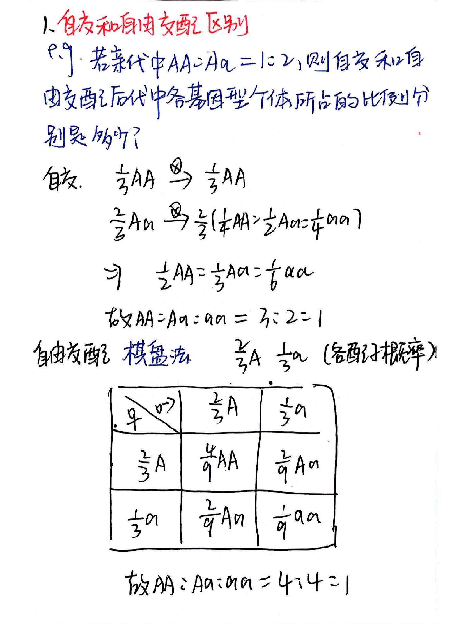 自交的示意图图片