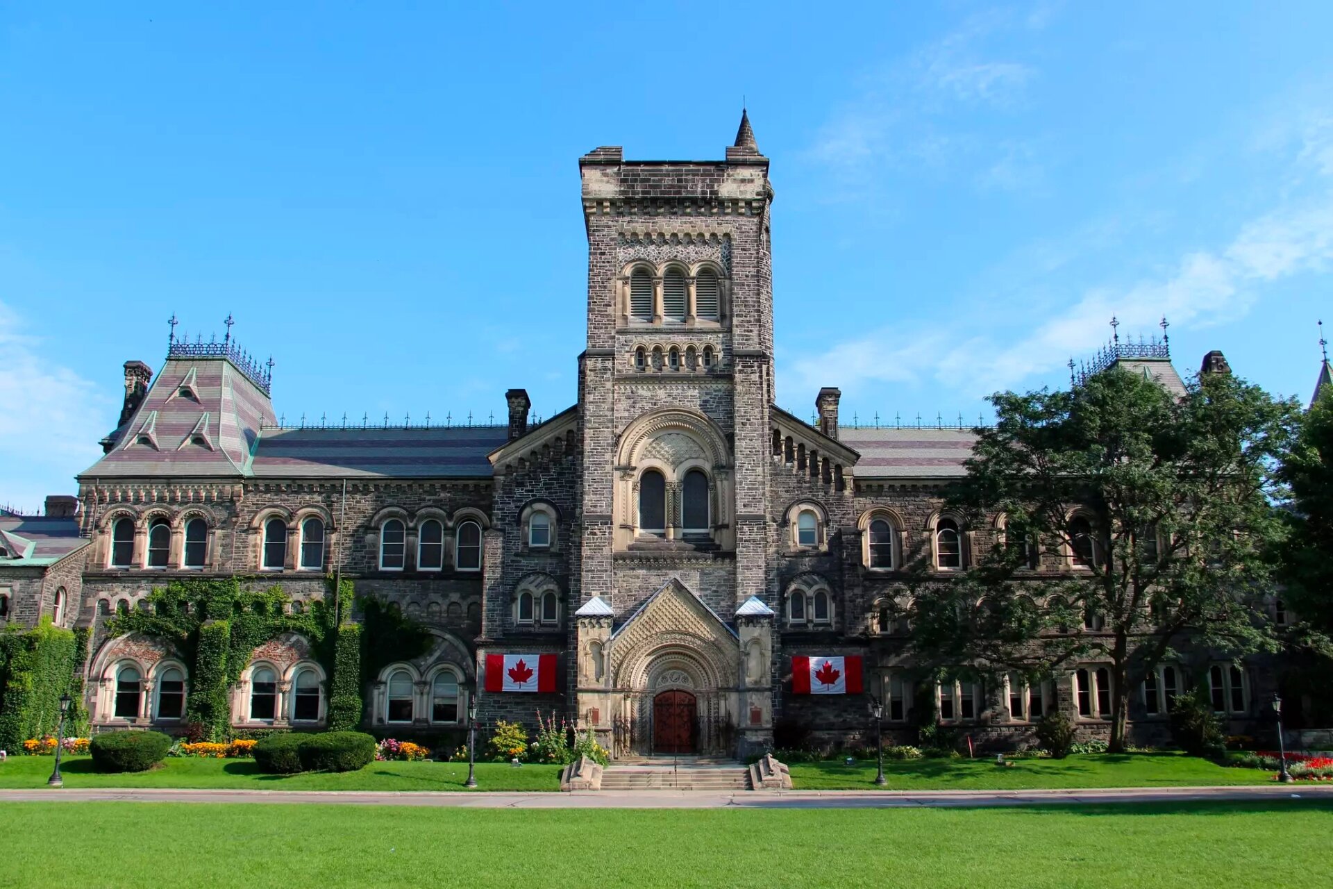 多伦多大学校徽壁纸图片