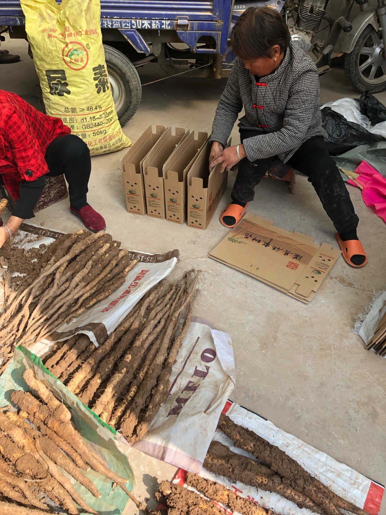 焦作温县垆土铁棍山药
