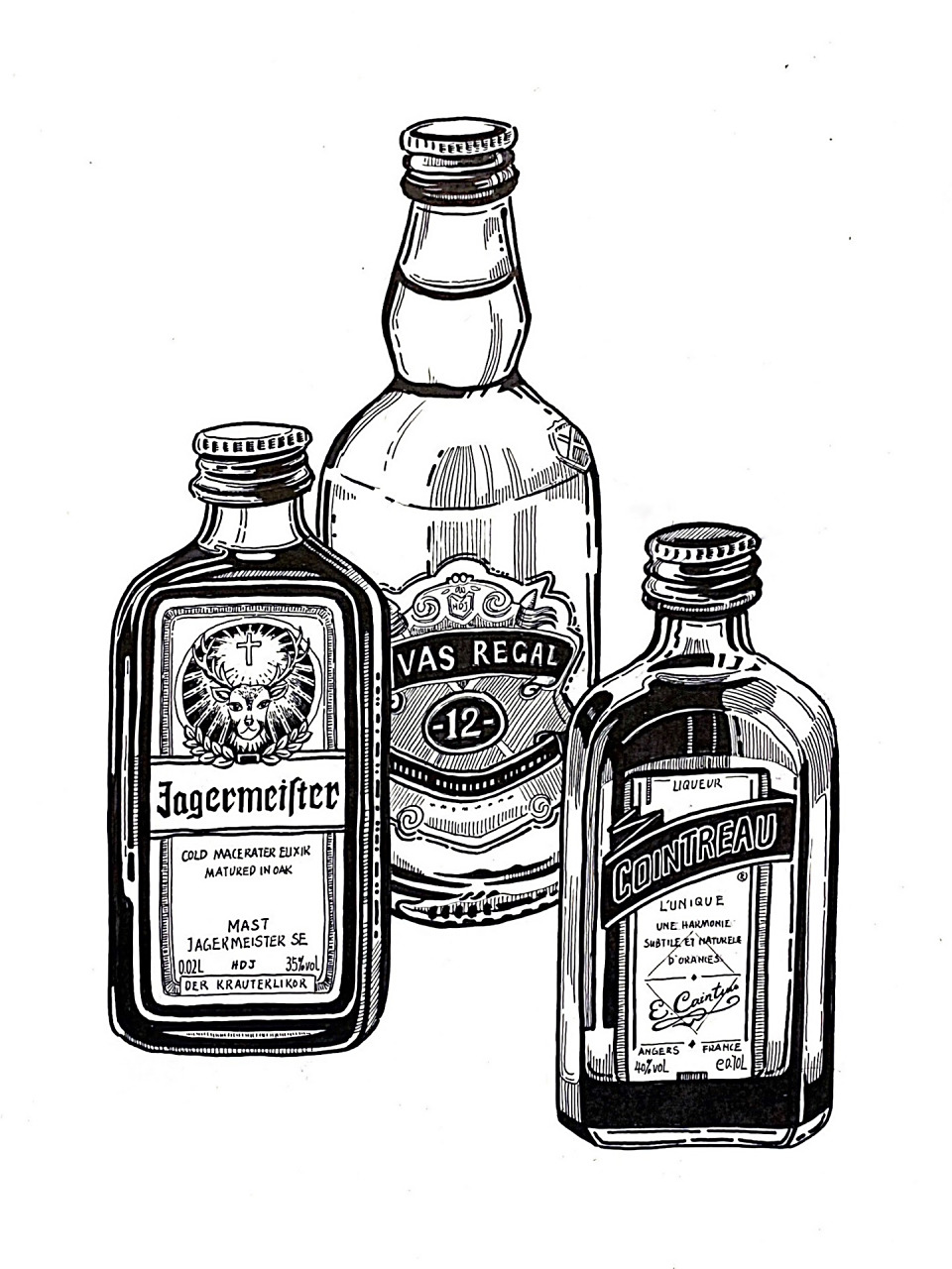 挑战100幅线描写生012/洋酒瓶子/静物写生  适合7到10岁孩子学习,同时