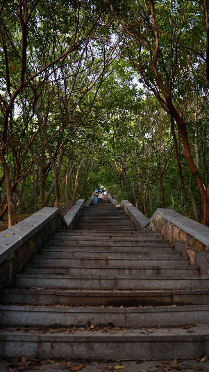 9/人 平时大概二十几一个人吧 秋天,来临沭冠山捡板栗吧!