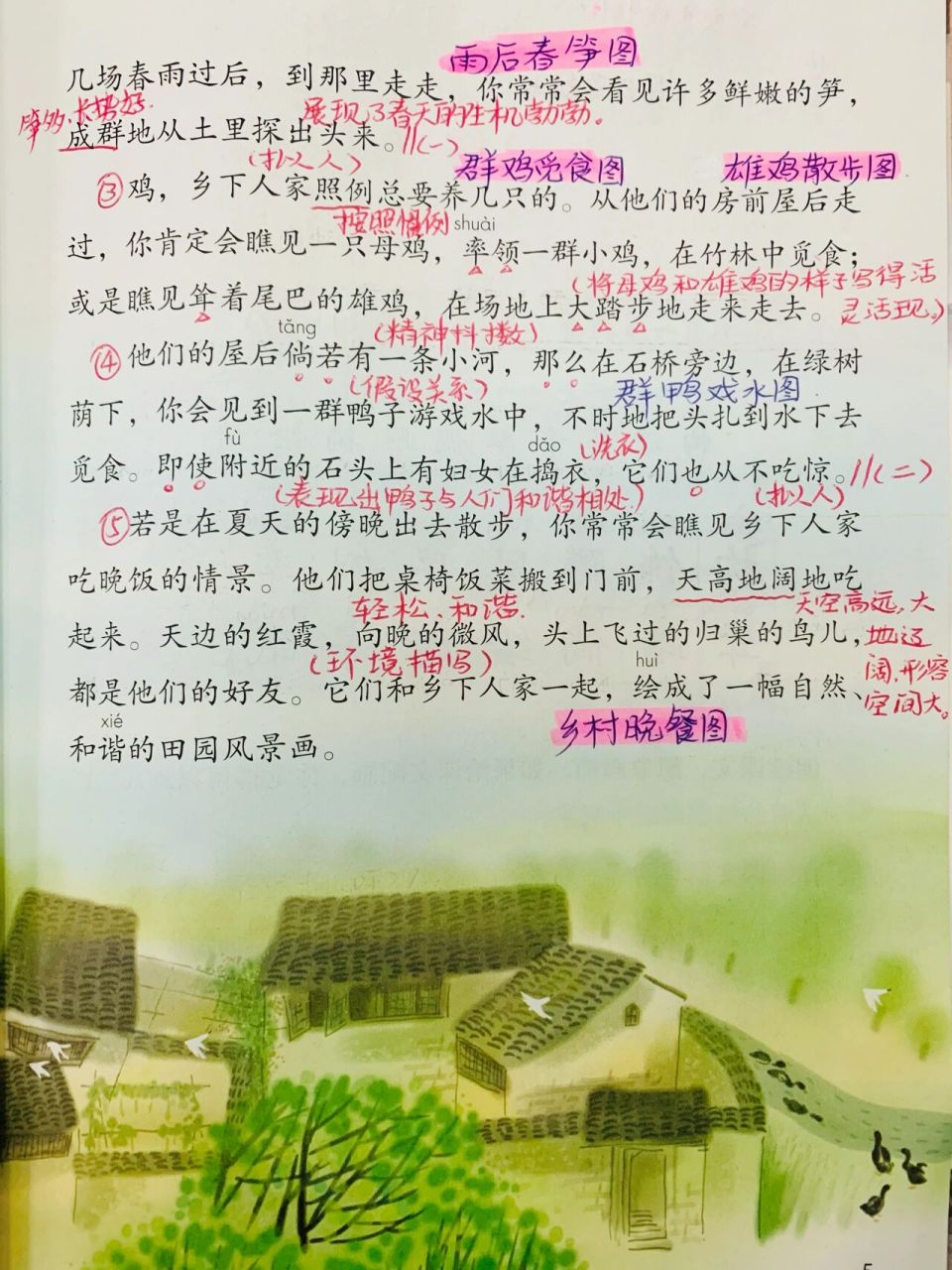 四年级语文下册26615《乡下人家》 课文中心 文章按照房前屋后的