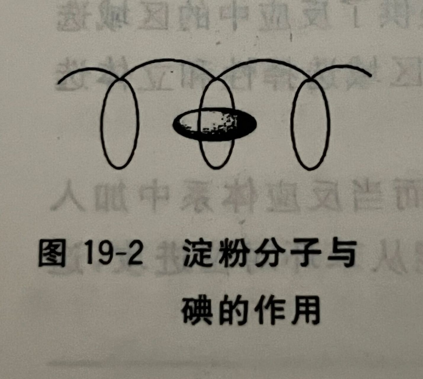 化学小知识—淀粉遇碘变蓝的基本原理 no.