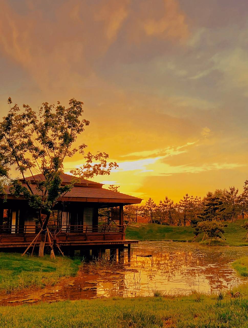 雄安一日游～   果然最出片的还是悦容公园,南苑景色真美!