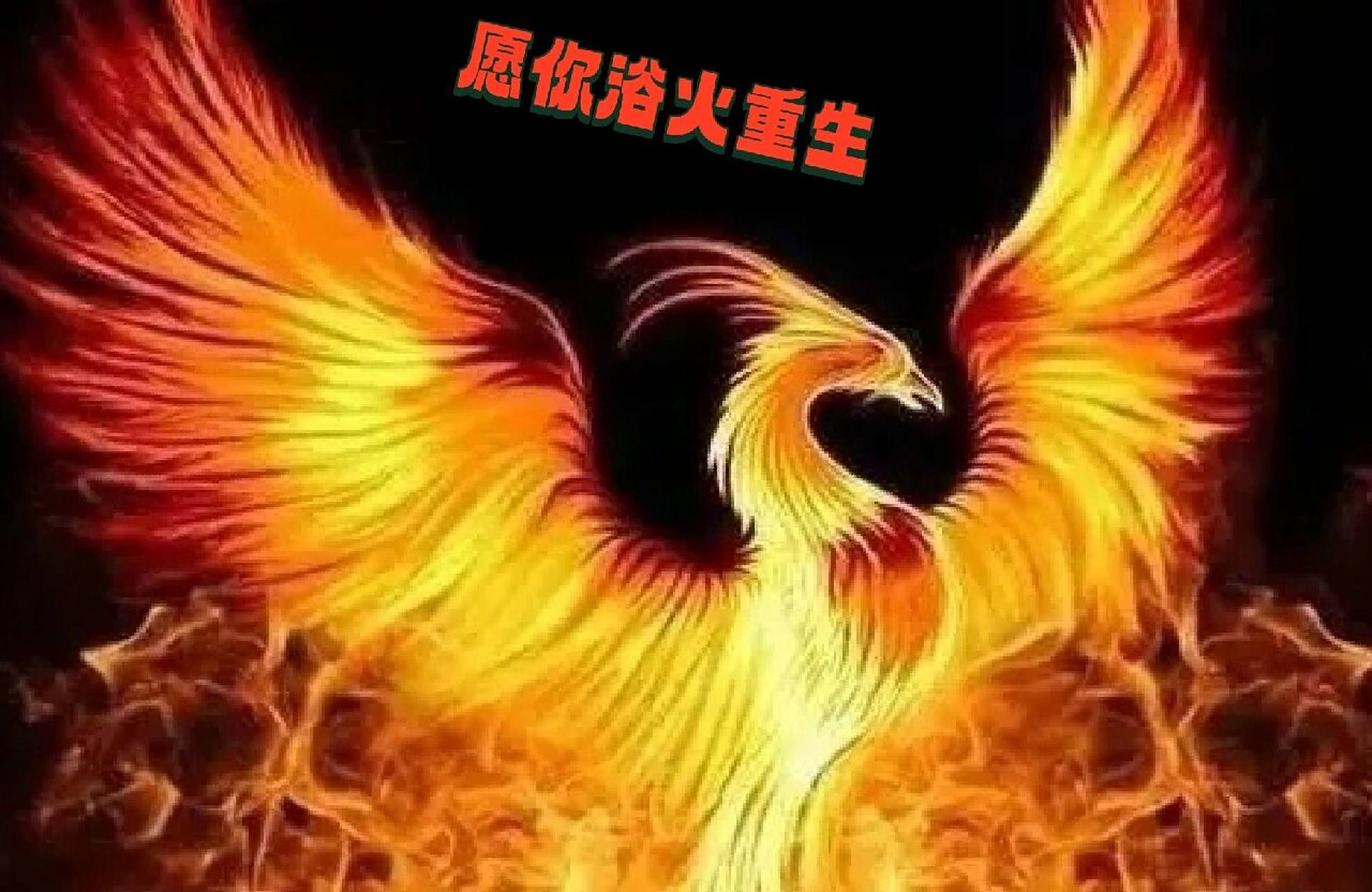 这是一张凤凰浴火涅槃重生图.