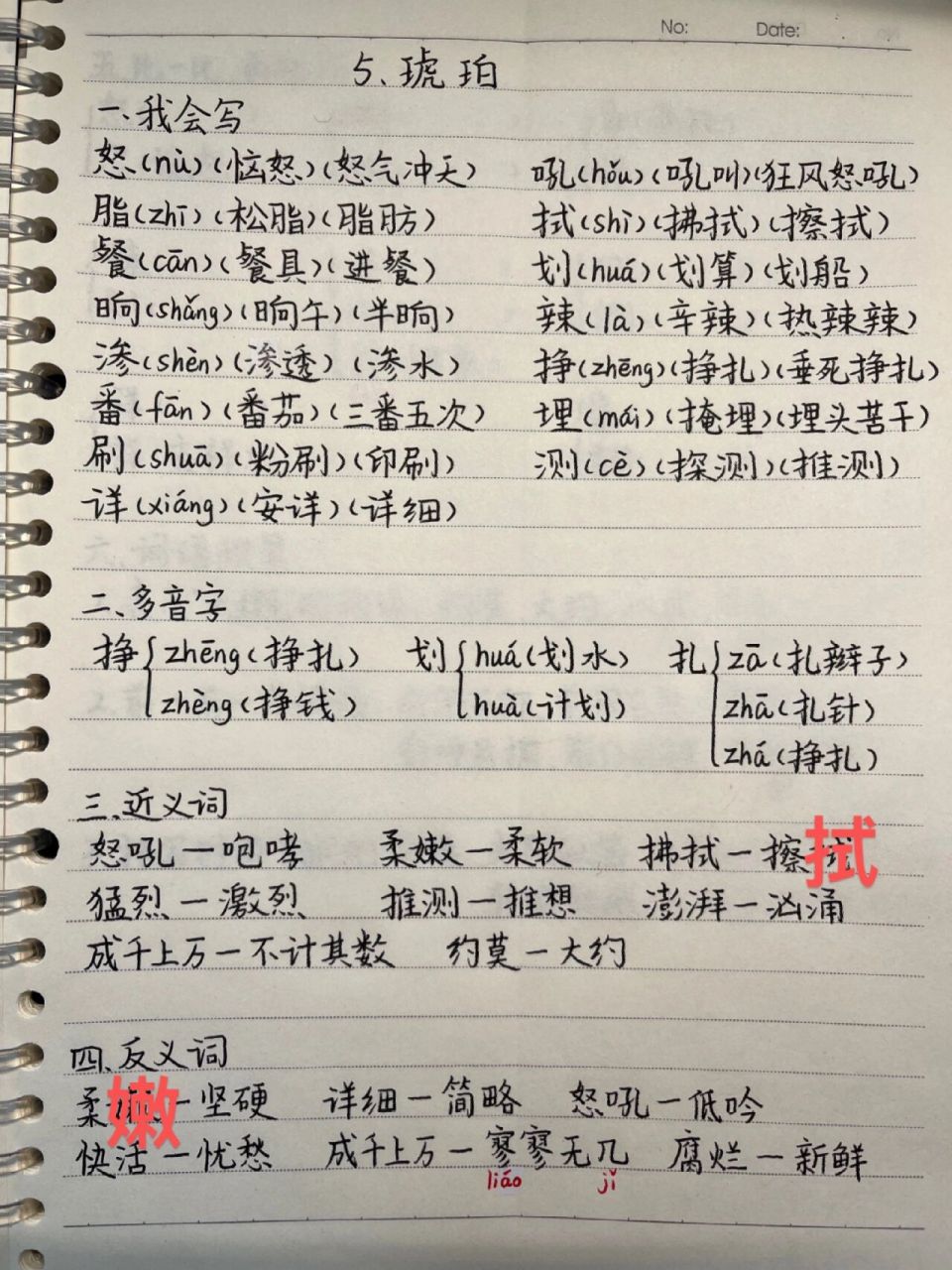 四下语文笔记《5,琥珀》