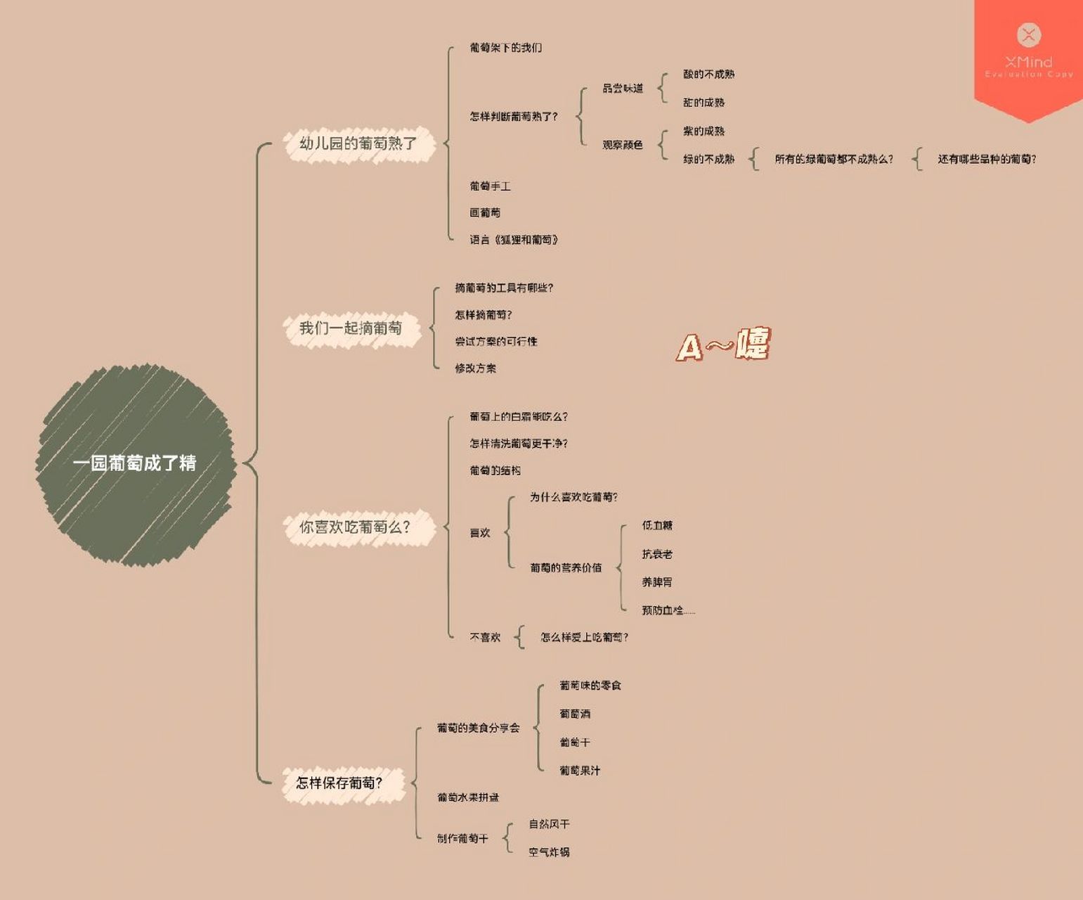 幼儿园主题网络图