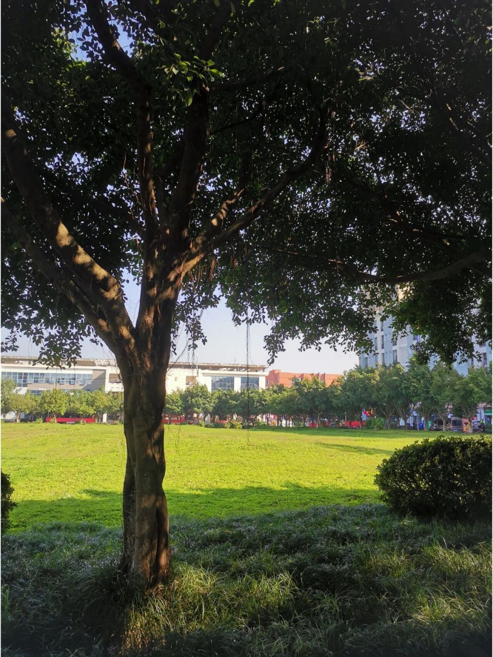 重庆对外经贸学院 学校分为铜梁和合川校区,今年铜梁校区可能不招生