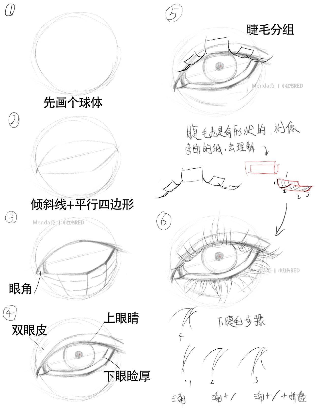 超简单的眼睛画法 手绘教程 procreate 板