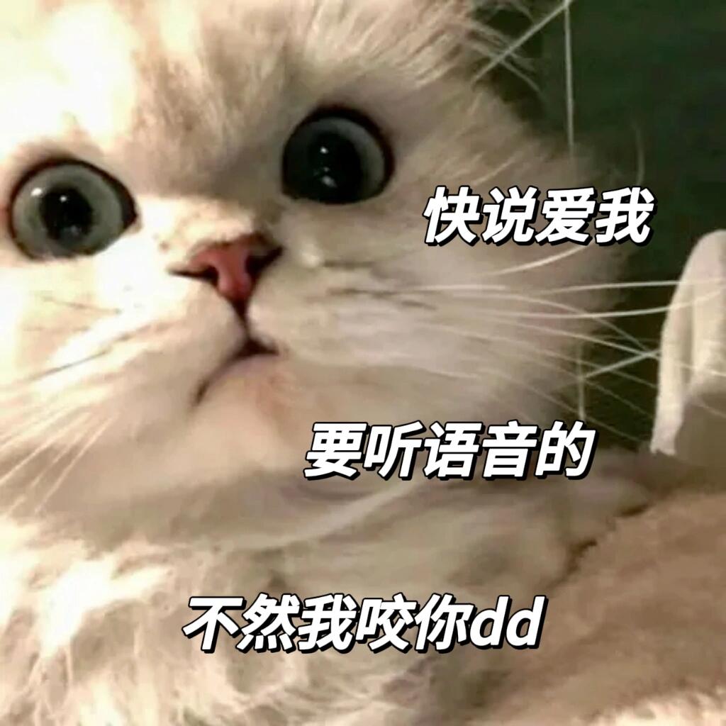 撒娇卖萌表情包