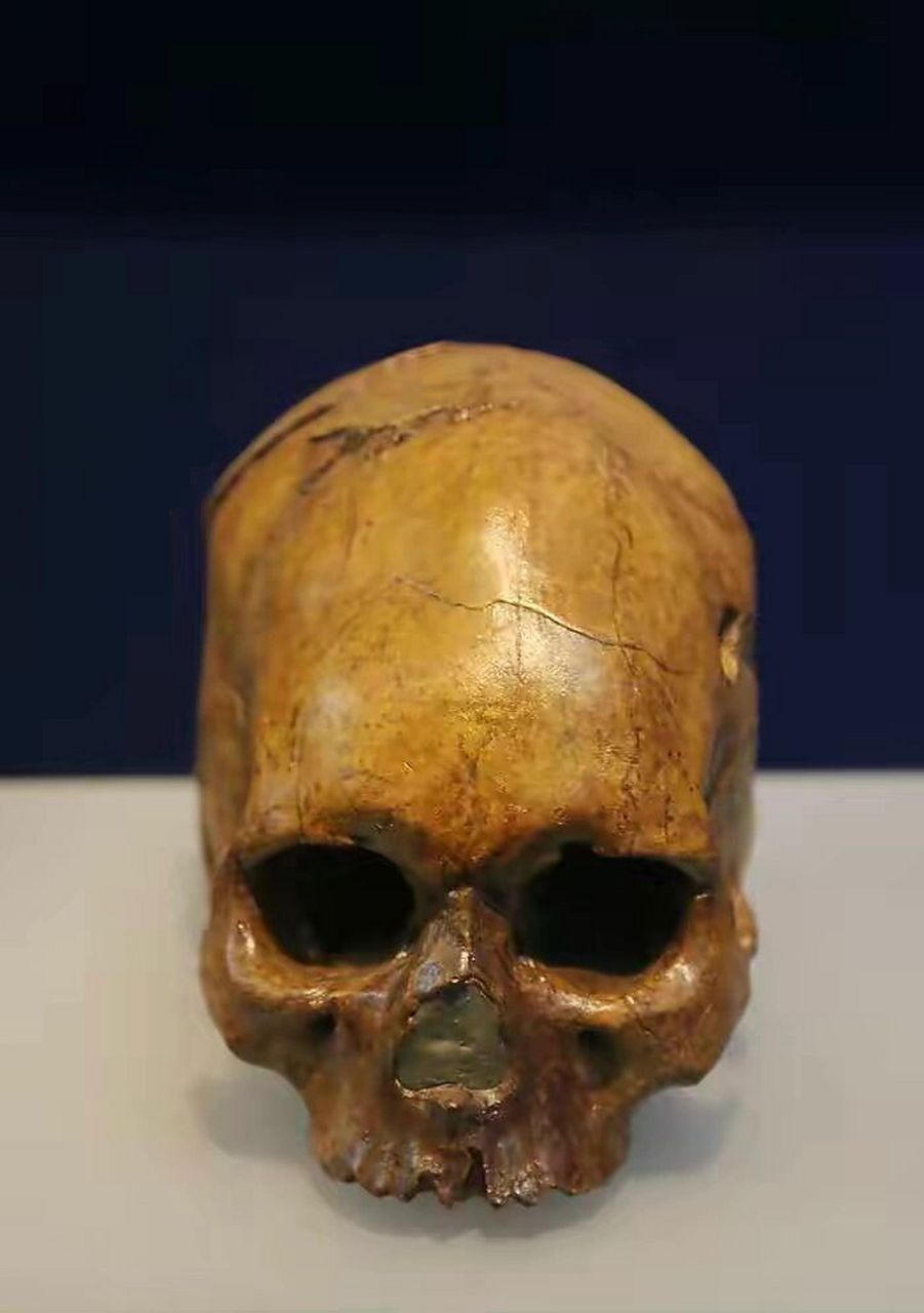 8万年 山顶洞人化石,是中国华北地区旧石器时代晚期的人类化石.