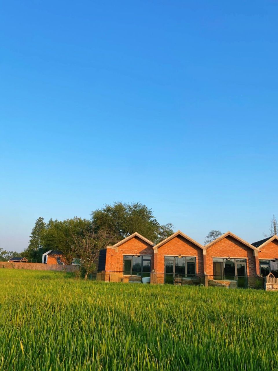 合肥旅游|小岭南·逃离城市通往幸福里93 99:合肥市蜀山区小庙镇