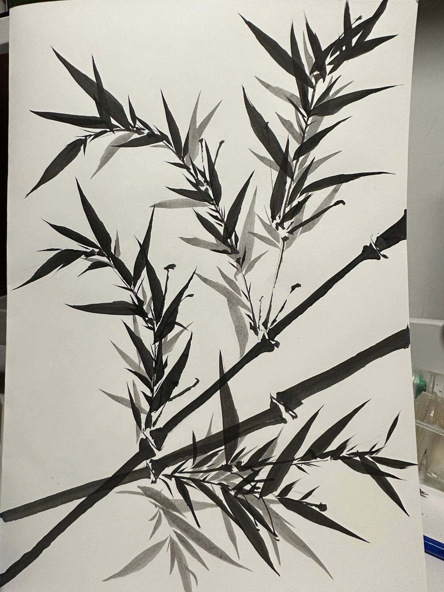 国画竹子教程(超详细,附带步骤)简单易学