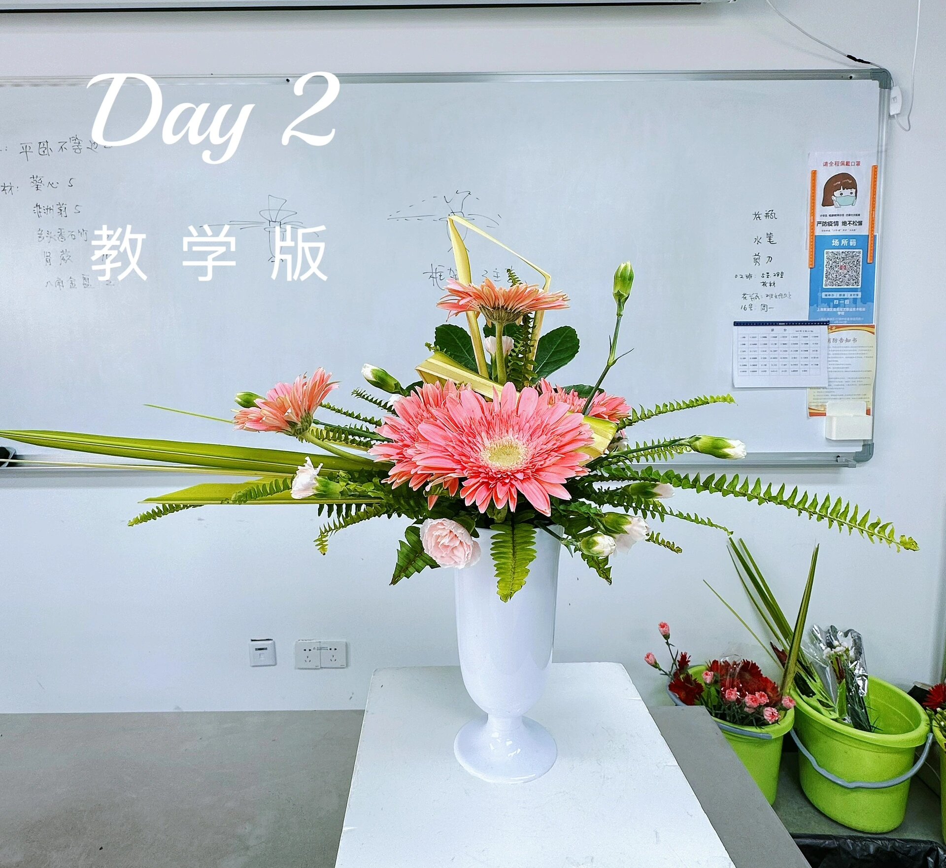 一起学插花吧～ day 2 平卧式插花 学校选用花材 框架花材:葵心,肾蕨